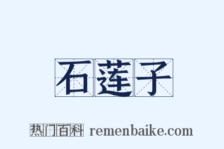 石莲子是什么意思的图片